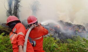 Upaya penanganan karhutla (Foto: Istimewa)